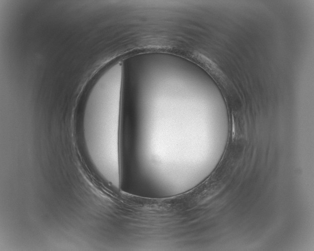 X0000074970627200609011017