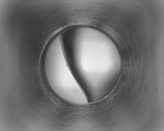 X0000074970628200609011017