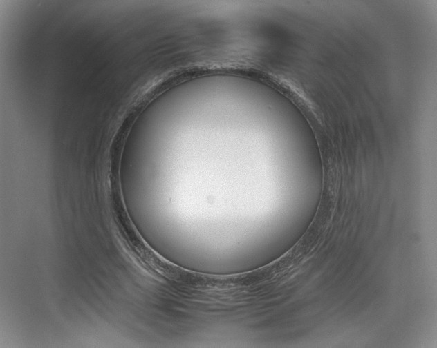 X0000074970631200609011017