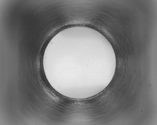 X0000074970632200609011017