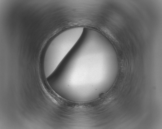 X0000074970634200609011017