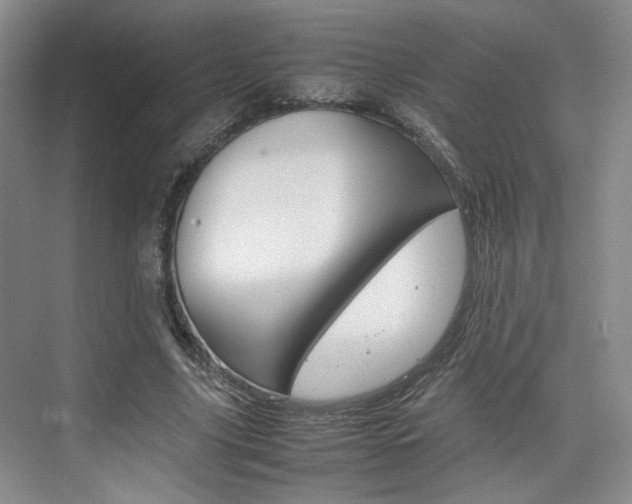 X0000074970635200609011017