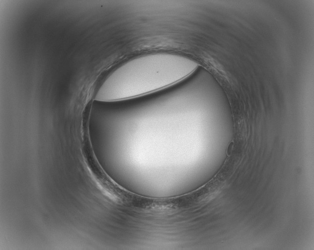X0000074970638200609011017