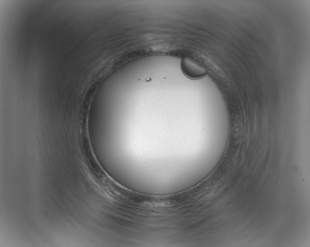X0000074970639200609011017