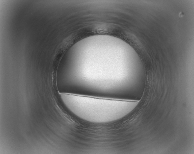 X0000074970645200609011017