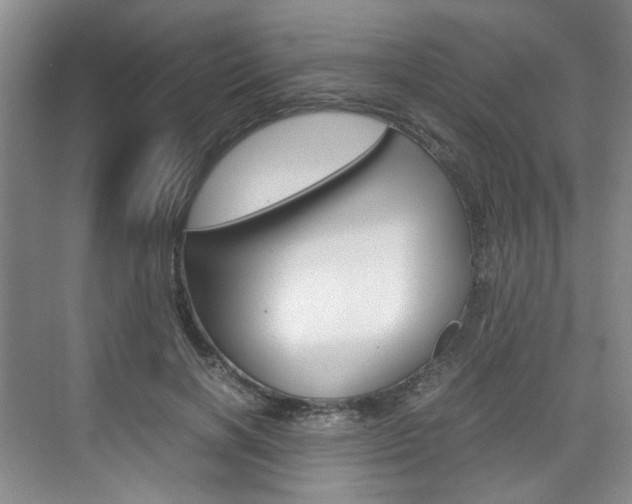 X0000074970646200609011017