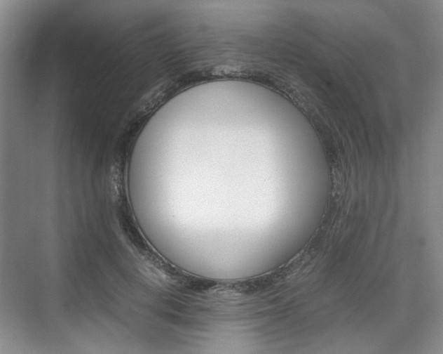X0000074970648200609011017