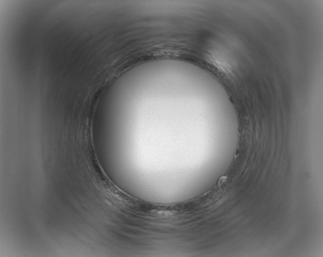 X0000074970649200609011017