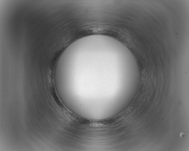X0000074970650200609011017