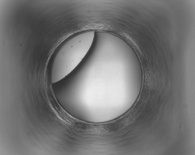 X0000074970674200609011017