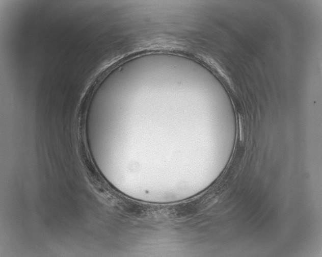 X0000074970675200609011017