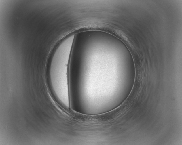 X0000074970677200609011017
