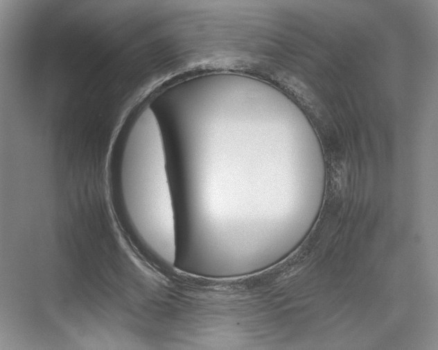 X0000074970678200609011017