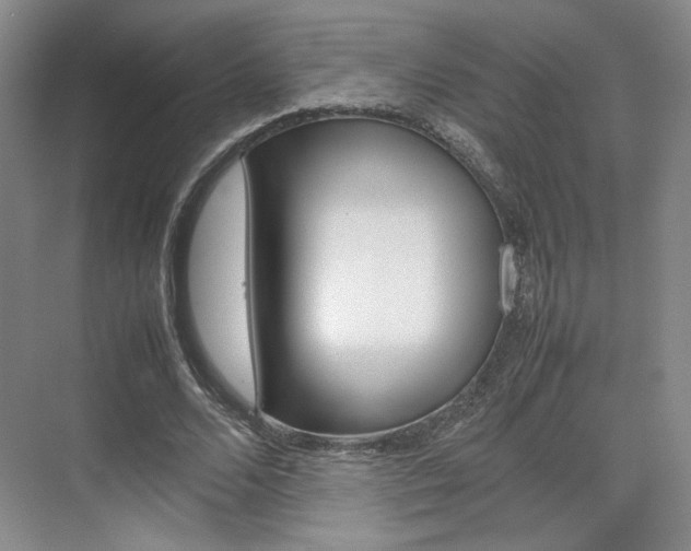 X0000074970680200609011017