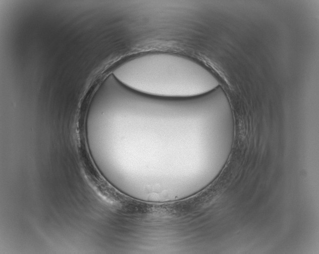 X0000074970682200609011017