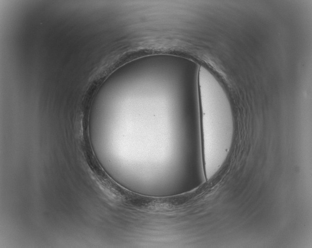 X0000074970685200609011017