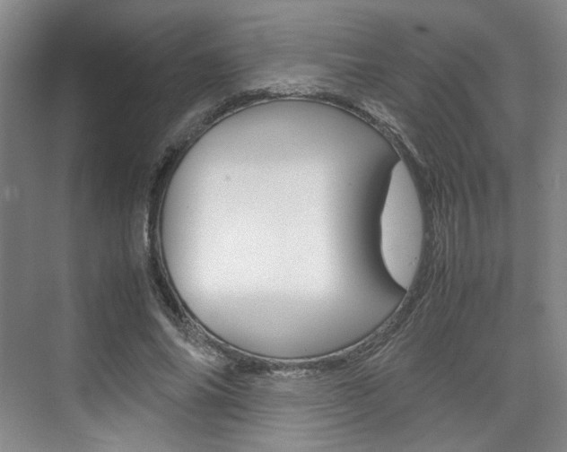 X0000074970686200609011017