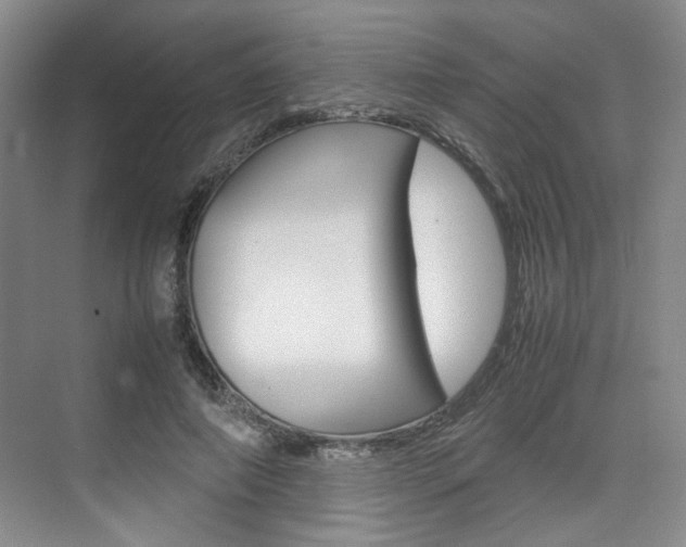 X0000074970690200609011017