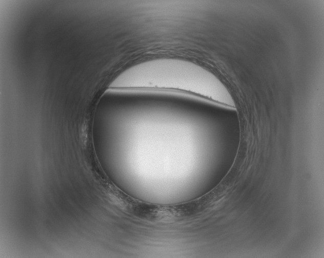 X0000074970697200609011017