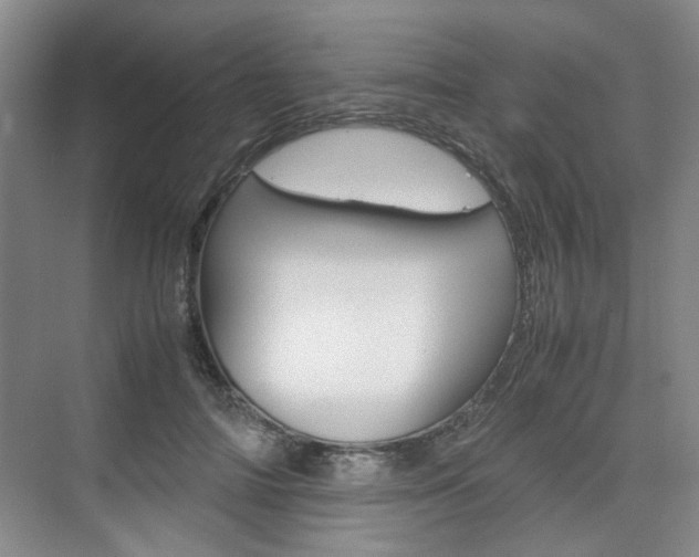 X0000074970698200609011017