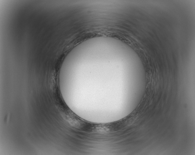 X0000074970702200609011017