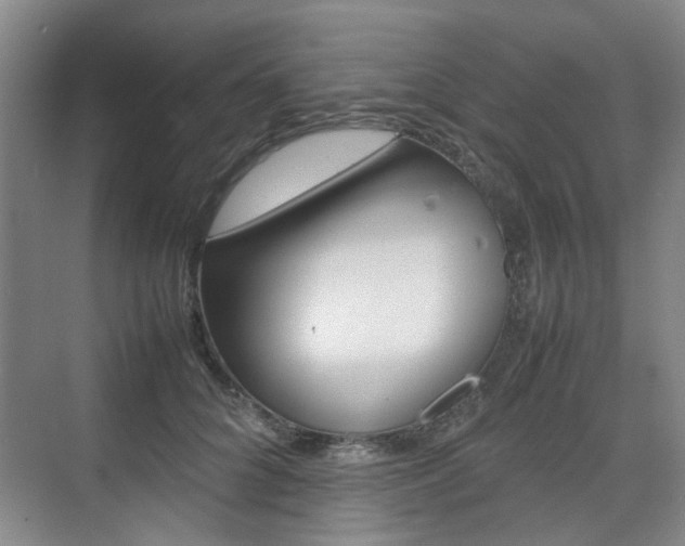 X0000074970704200609011016