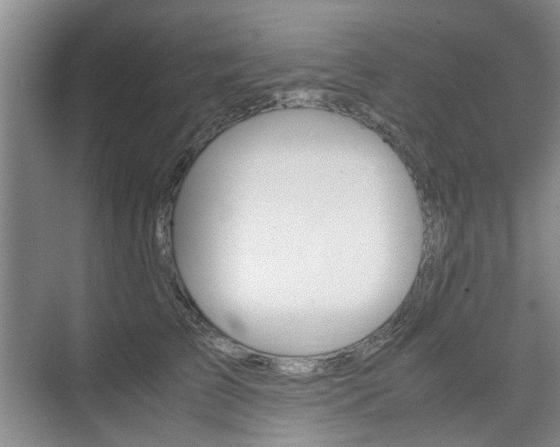 X0000074970709200609011016
