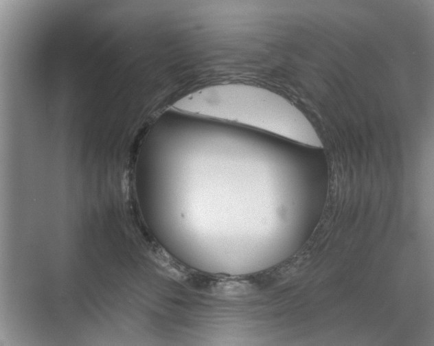 X0000074970716200609011016