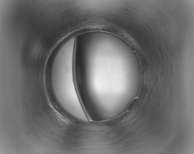 X0000074970722200609011015