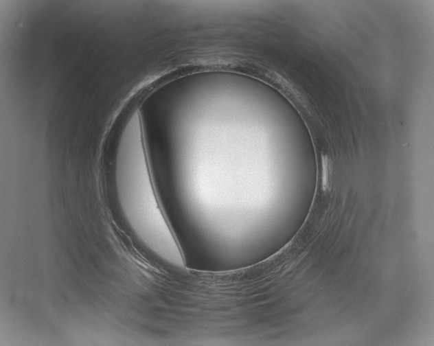 X0000074970723200609011015