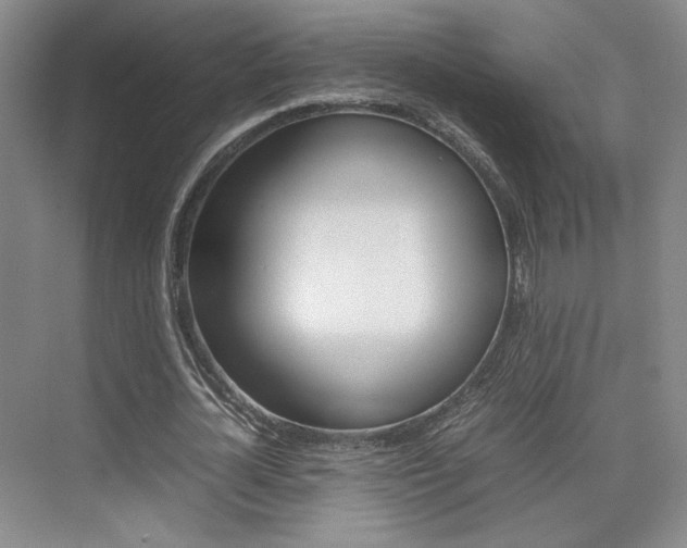 X0000074970724200609011015