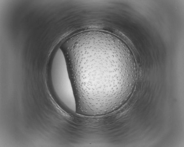 X0000074970725200609011015