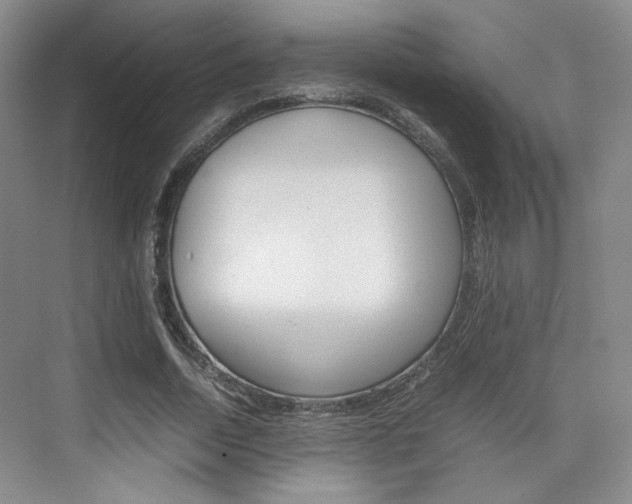 X0000074970730200609011016