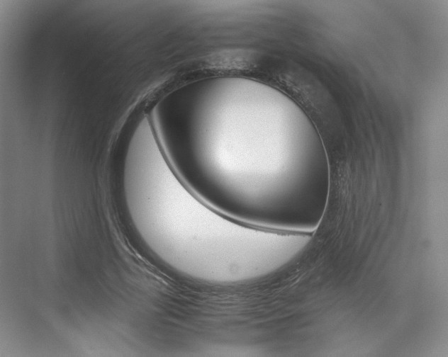 X0000074970731200609011016