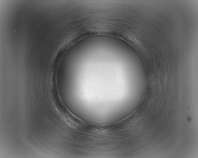 X0000074970735200609011016