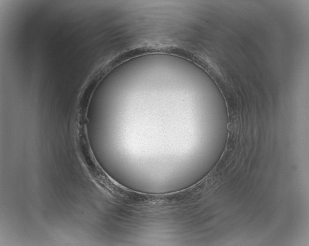 X0000074970736200609011016