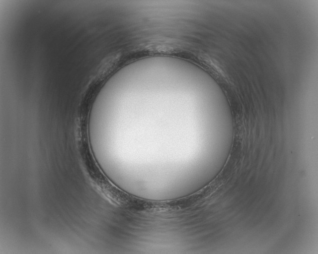 X0000074970738200609011016