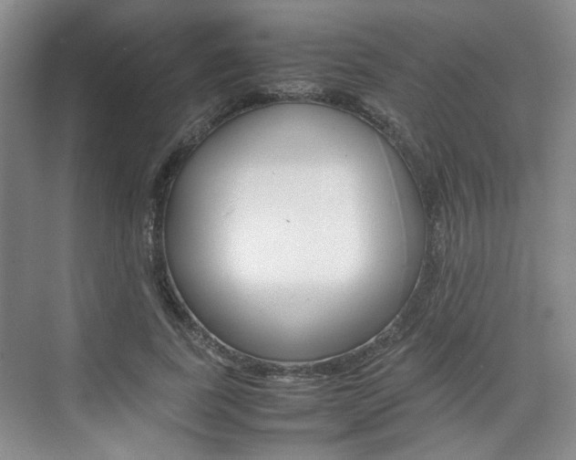 X0000074970739200609011016