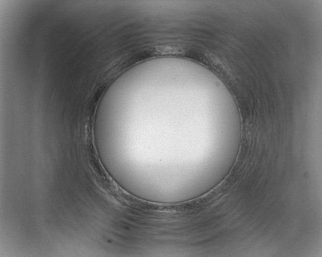 X0000074970741200609011016