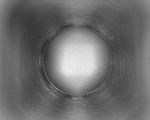 X0000074970744200609011016