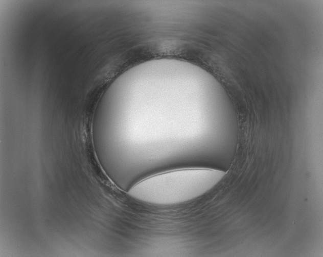 X0000074970746200609011016