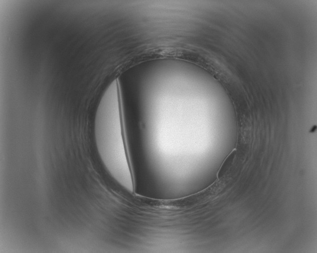 X0000074970748200609011016