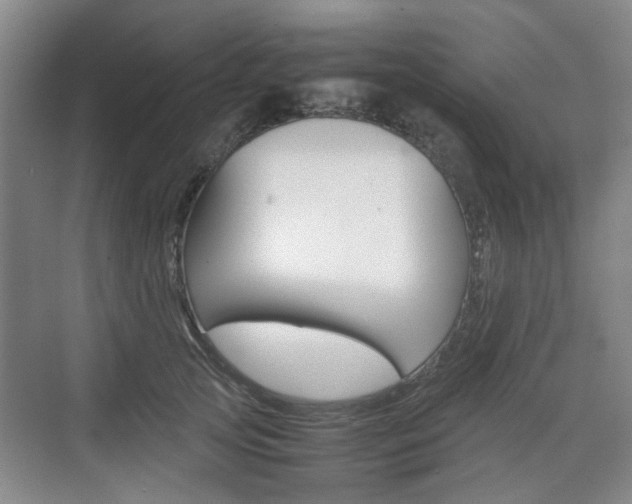 X0000074970753200609011016