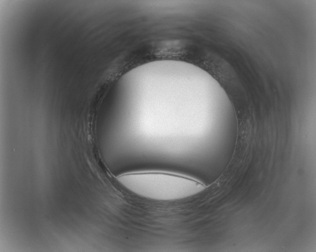 X0000074970755200609011016