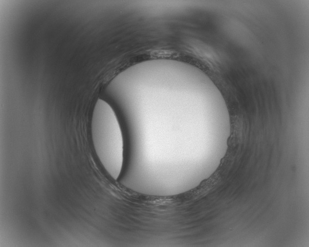 X0000074970761200609011016