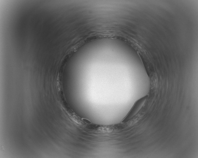 X0000074970764200609011016