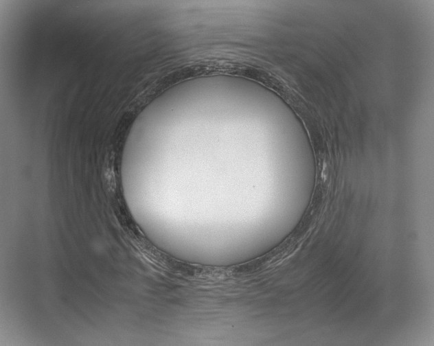 X0000074970771200609011015