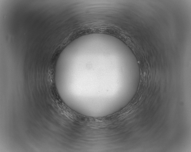 X0000074970772200609011015