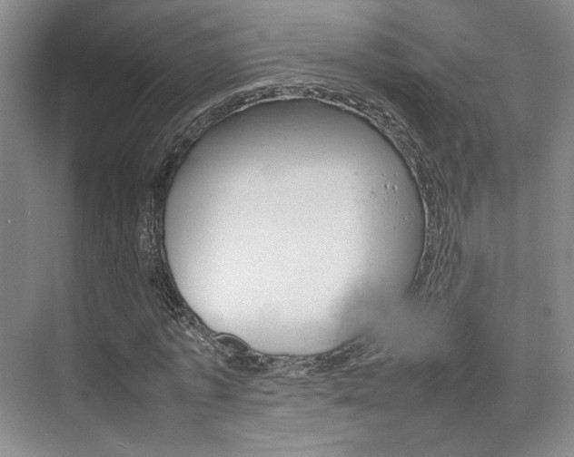 X0000074970773200609011015