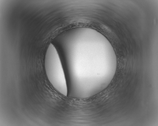 X0000074970774200609011015